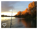 South fork on the Snake River