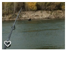 fishing on the Snake River and Elk Crossing