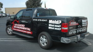 vehicle graphics